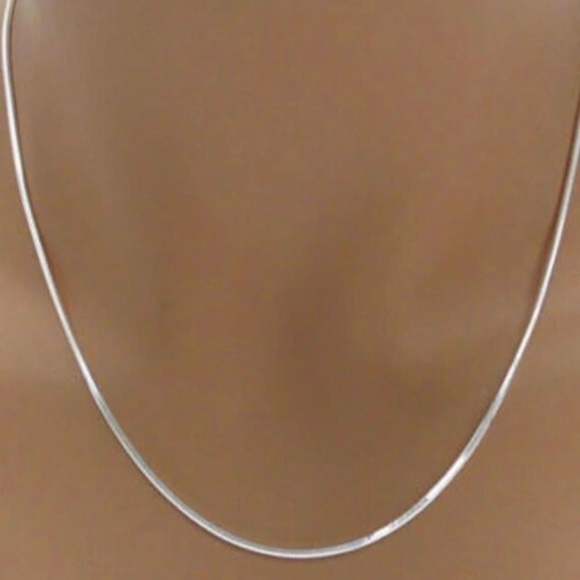 Sterling plated 18” chain with a St. Saint Francis medal and crucifix - Charity. - Picture 2 of 11